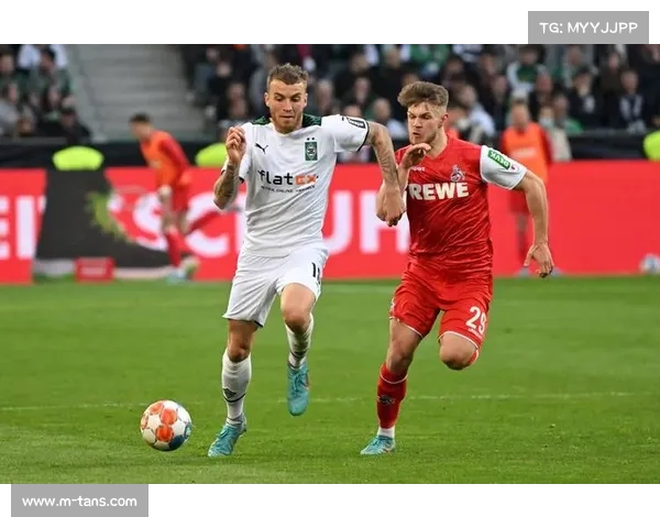 暴风雪“埃莉”致德甲两场比赛延期，球迷安全成首要考量